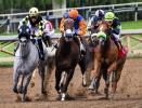 Dartmouth Rotary
Charity Horse Race